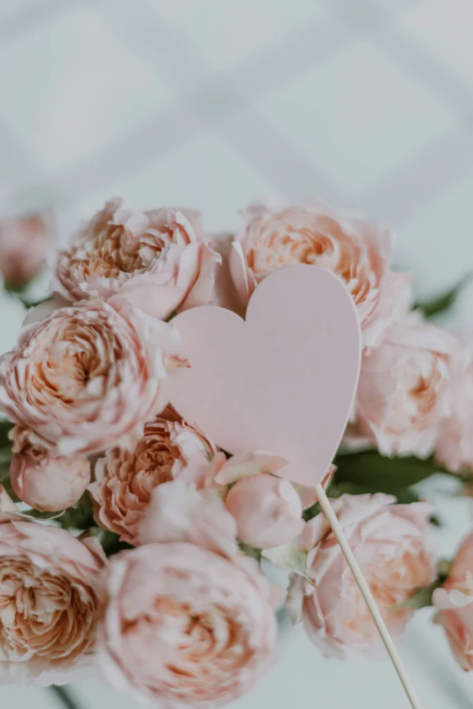anita-austvika-RA-UIVD51Rg-unsplash • Bling On-