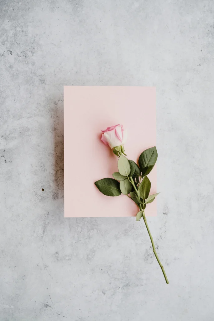 annie-spratt-eOgKSOJwyls-unsplash • Bling On-