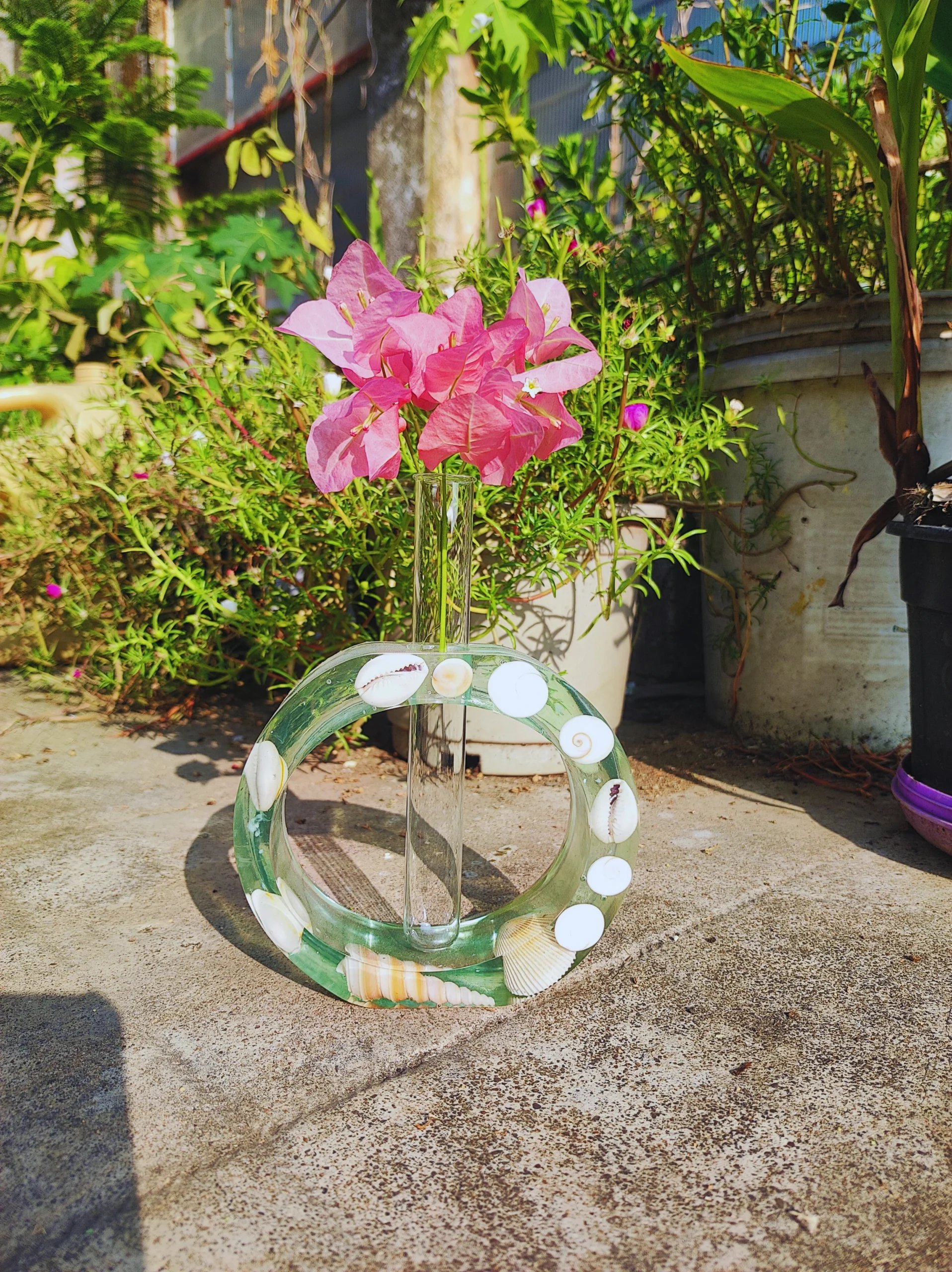 Bling On® Handmade Luxury Ocean Seashell Round Propagation Vase Transparent Tube Hydroponic Planter for Home D 2 • Bling On- Bling On® Handmade Luxury Ocean Seashell Round Propagation Vase Transparent Tube Hydroponic Planter for Home D (1)