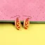 Hot Dog Earring